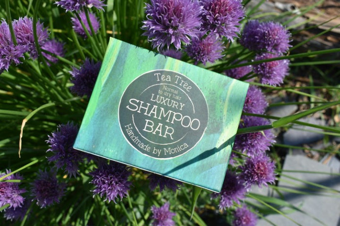 Benefits of Tea Tree in Your Shampoo Bar