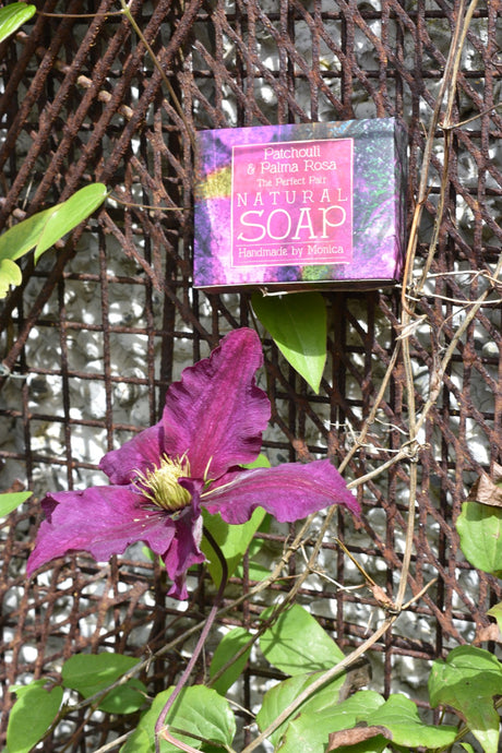 ALL OUR NATURAL SOAPS ARE BACK IN STOCK