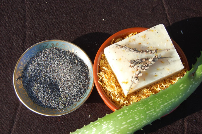 Natural Ingredients in our handmade soaps and shampoo bars