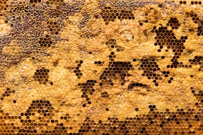 Beeswax for your Skin