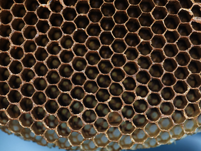 How Do I Know I'm Allergic To Beeswax?