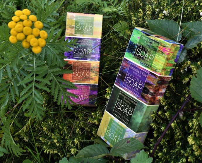 Handmade Mini Soaps in a Gift Box