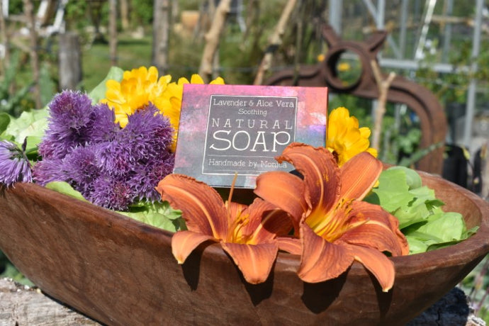 Lavender and Aloe Vera Natural Soap, Handmade by Monica